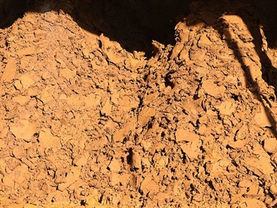 Zinc sulfide concentrate 
